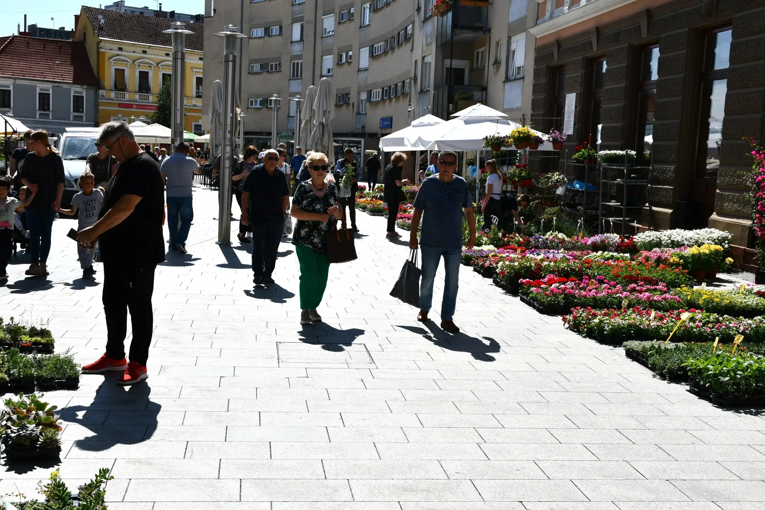 Festival cvijeća i jagoda 2024 (29) Festival cvijeća i jagoda 2024 (29)