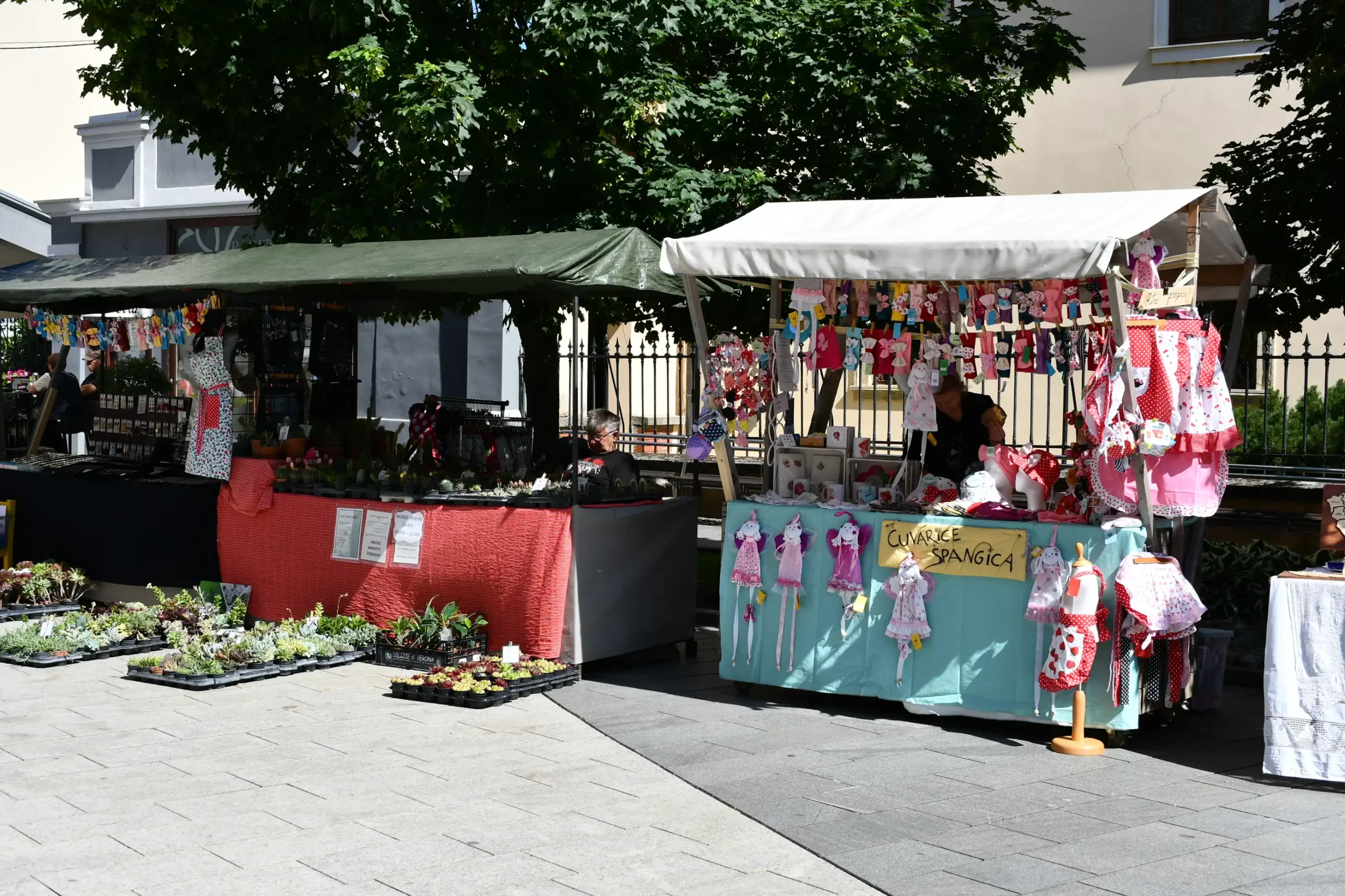 Festival cvijeća i jagoda 2024 (3) Festival cvijeća i jagoda 2024 (3)