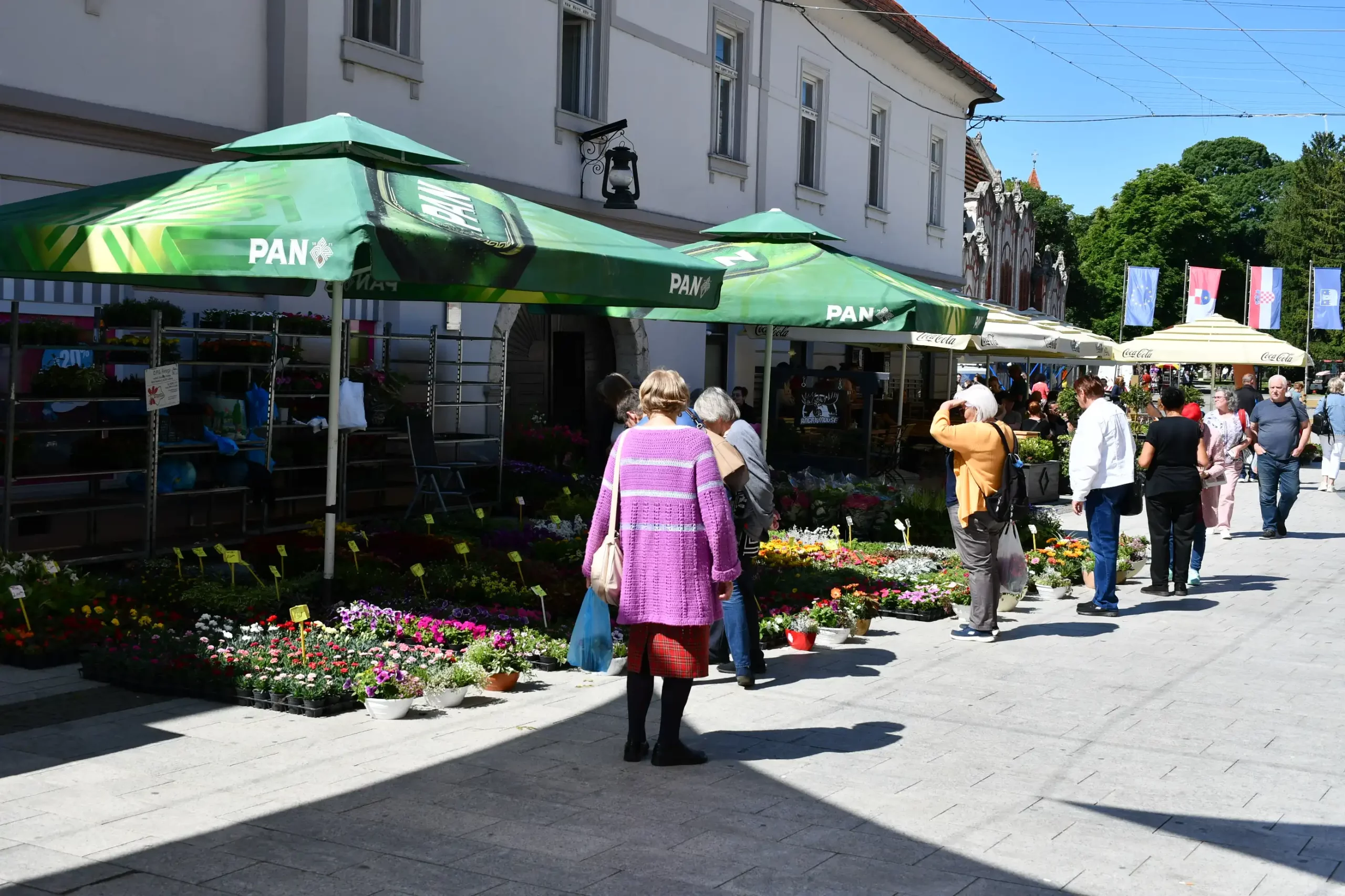 Festival cvijeća i jagoda 2024 (34) Festival cvijeća i jagoda 2024 (34)