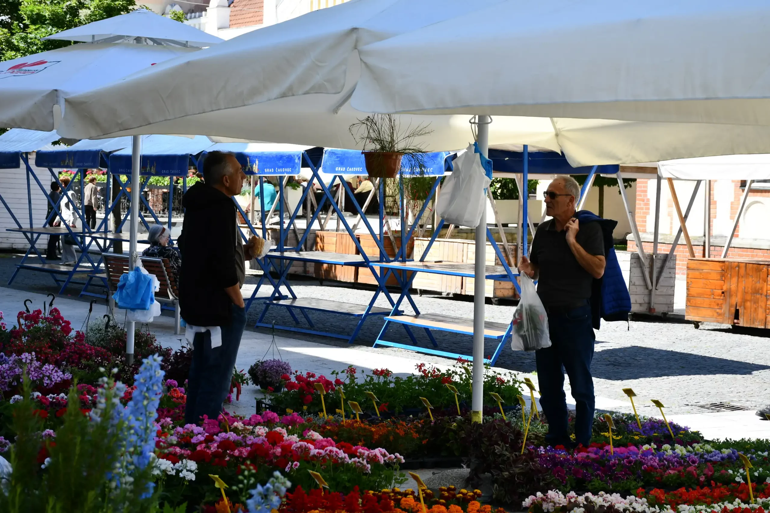 Festival cvijeća i jagoda 2024 (37) Festival cvijeća i jagoda 2024 (37)