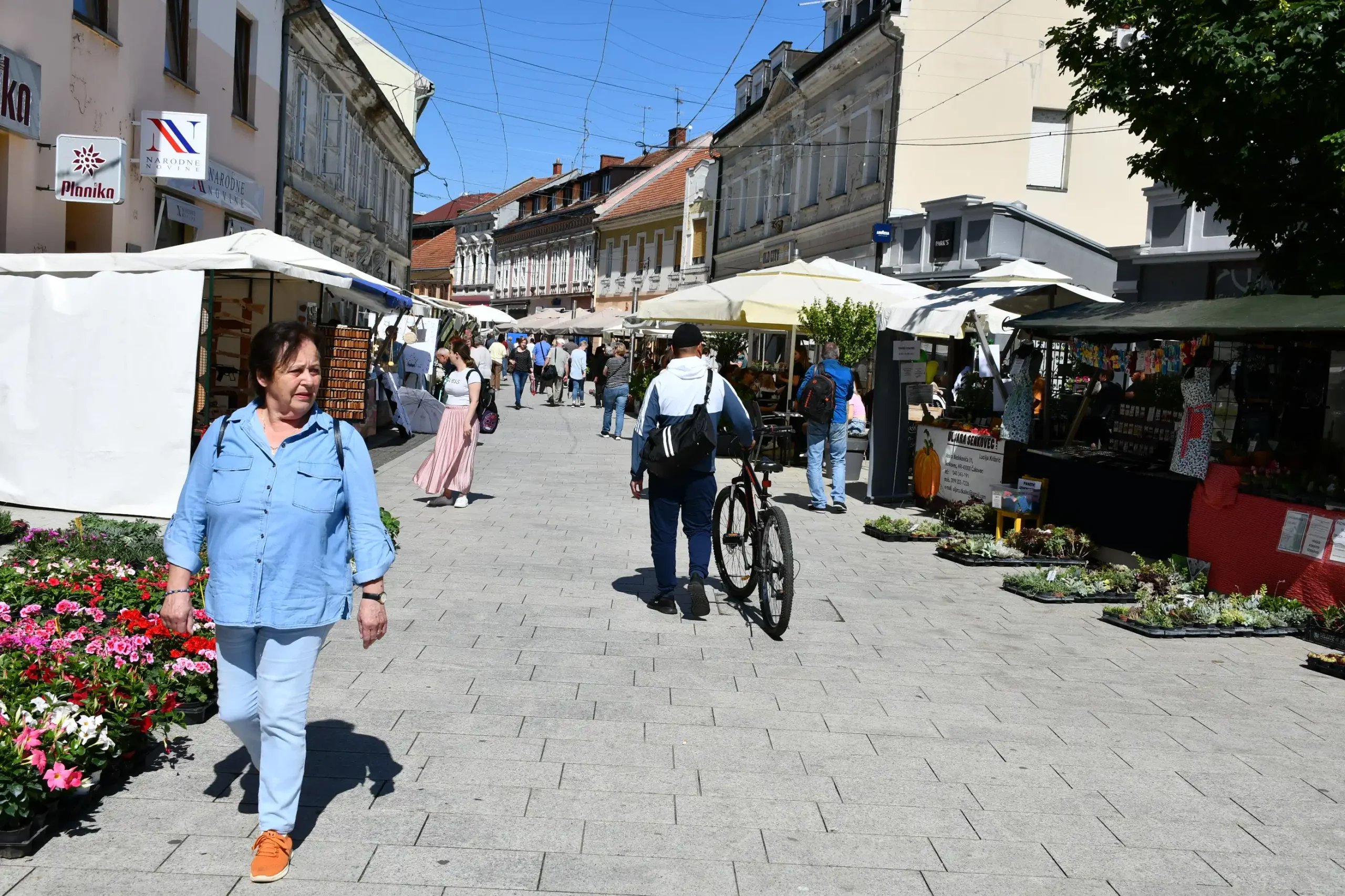 Festival cvijeća i jagoda 2024 (4) Festival cvijeća i jagoda 2024 (4)