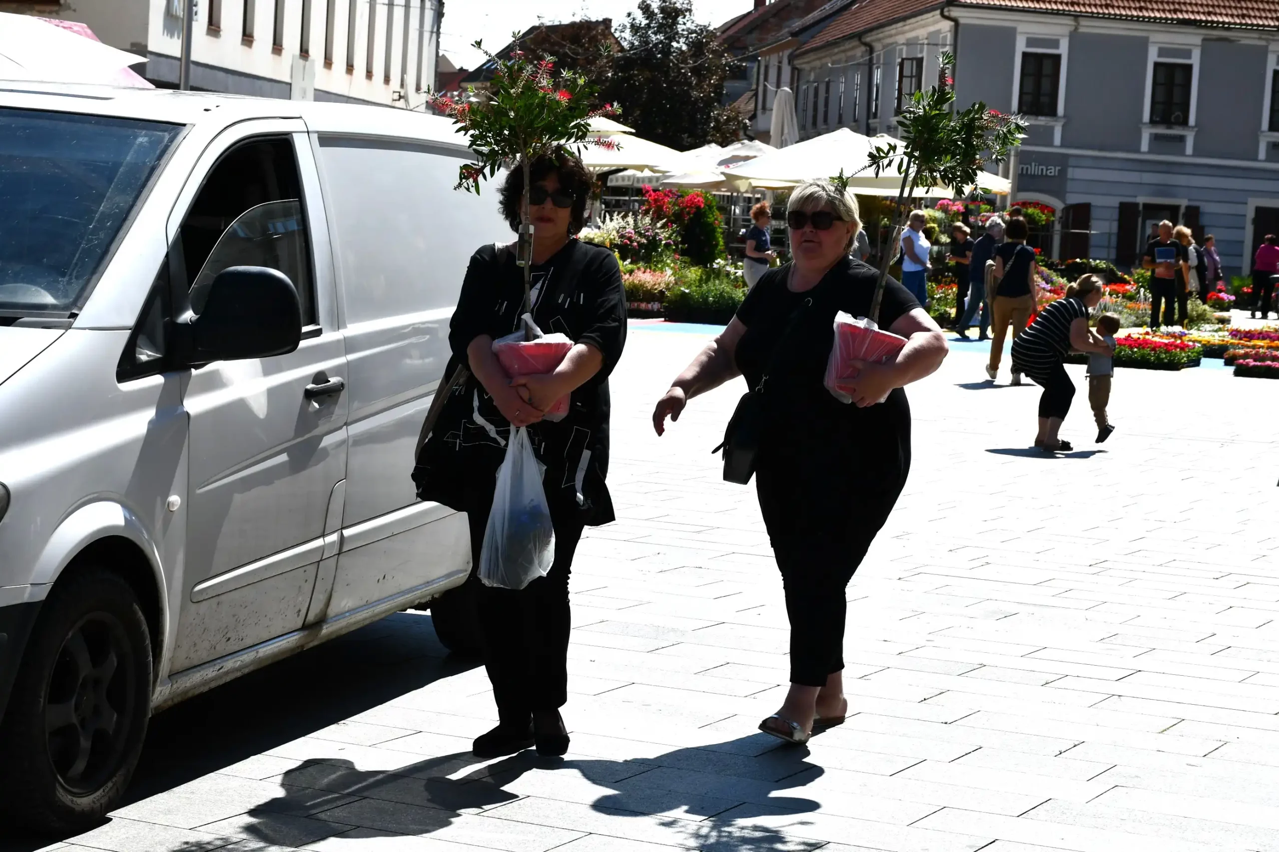 Festival cvijeća i jagoda 2024 (5) Festival cvijeća i jagoda 2024 (5)