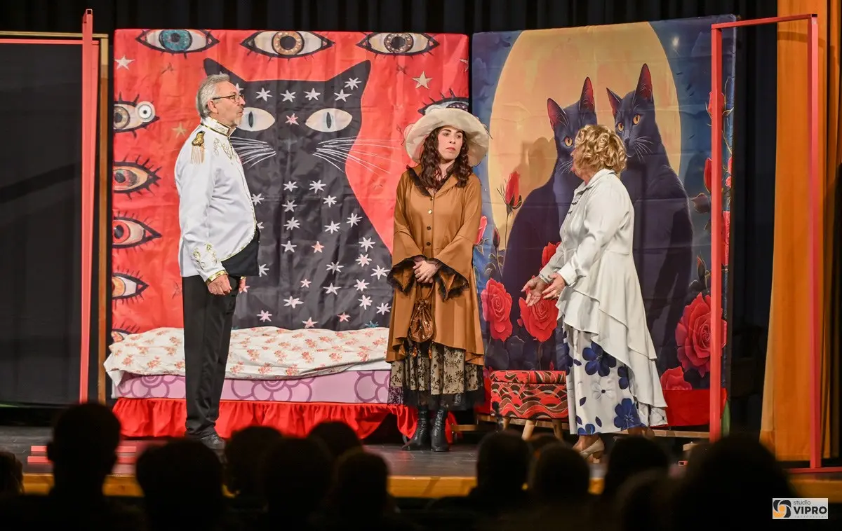 Festival kazališnih amatera Međimurska županija Studio Vipro (21)