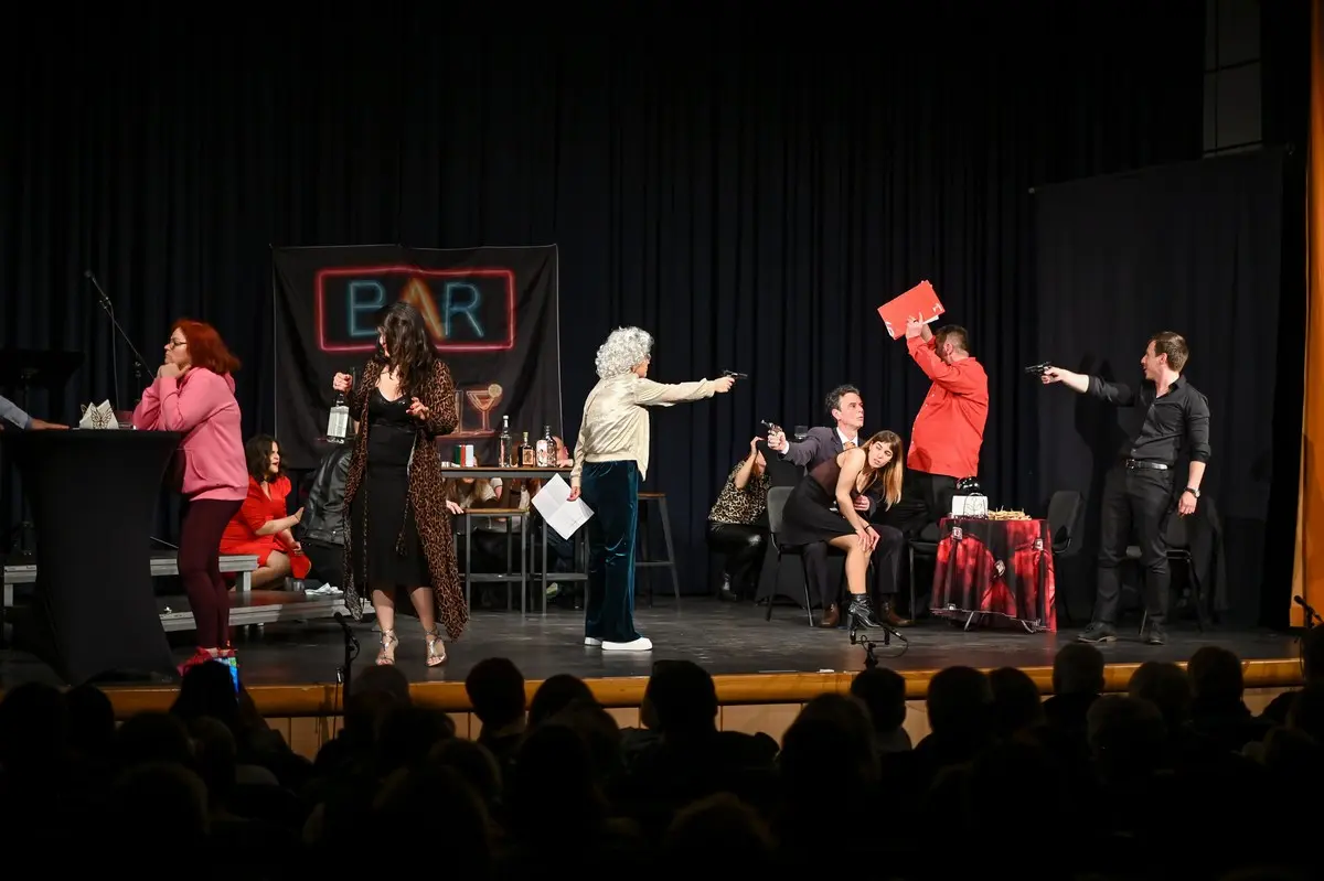 Festival kazališnih amatera Međimurska županija Studio Vipro (6)