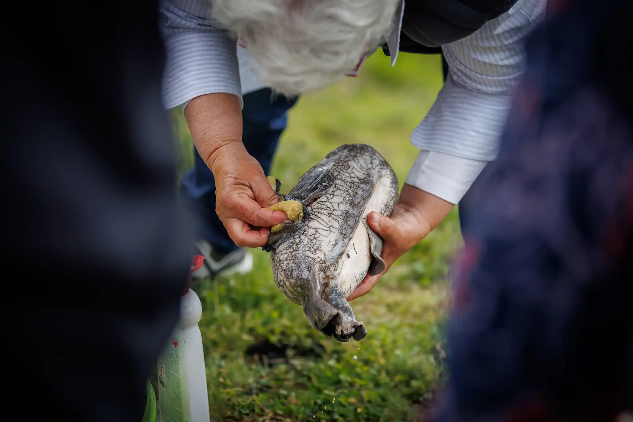 Festival keramike 29