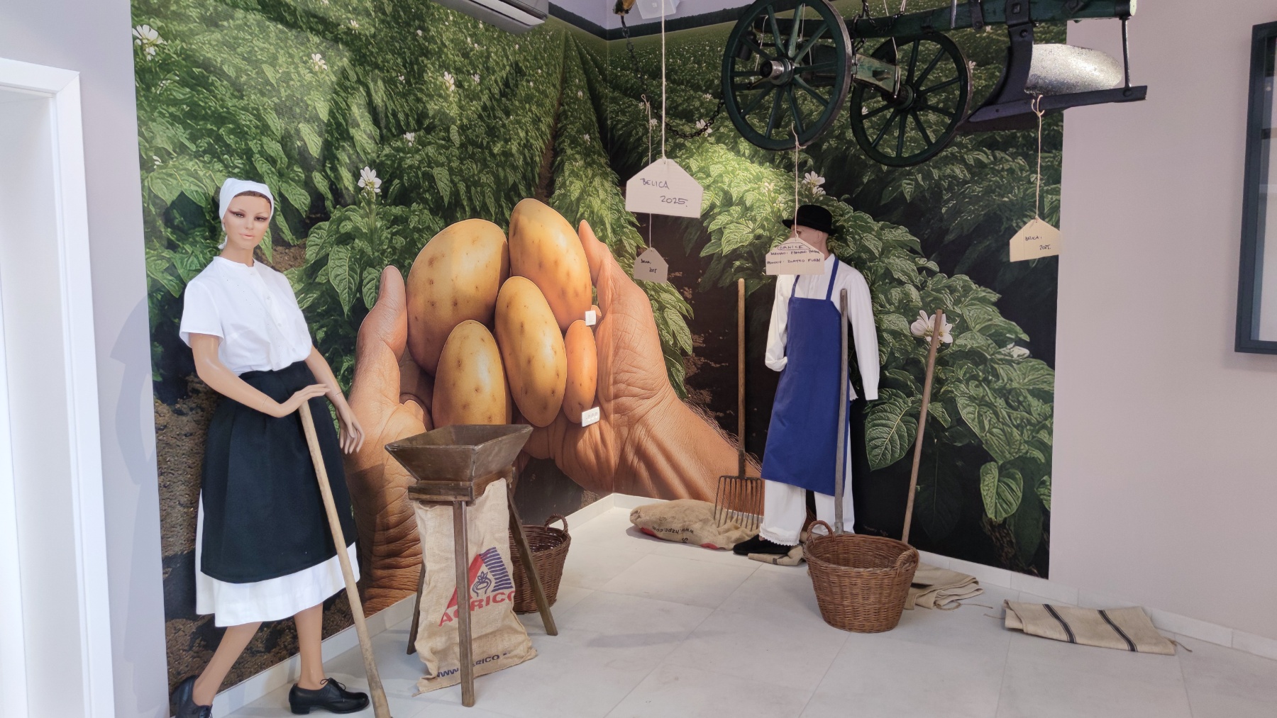 Festival krumpira 2025. Belica, Muzej krumpira (30)