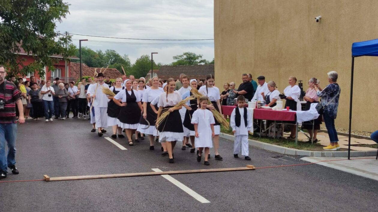 Festival krumpira, povorka starih strojeva (12)