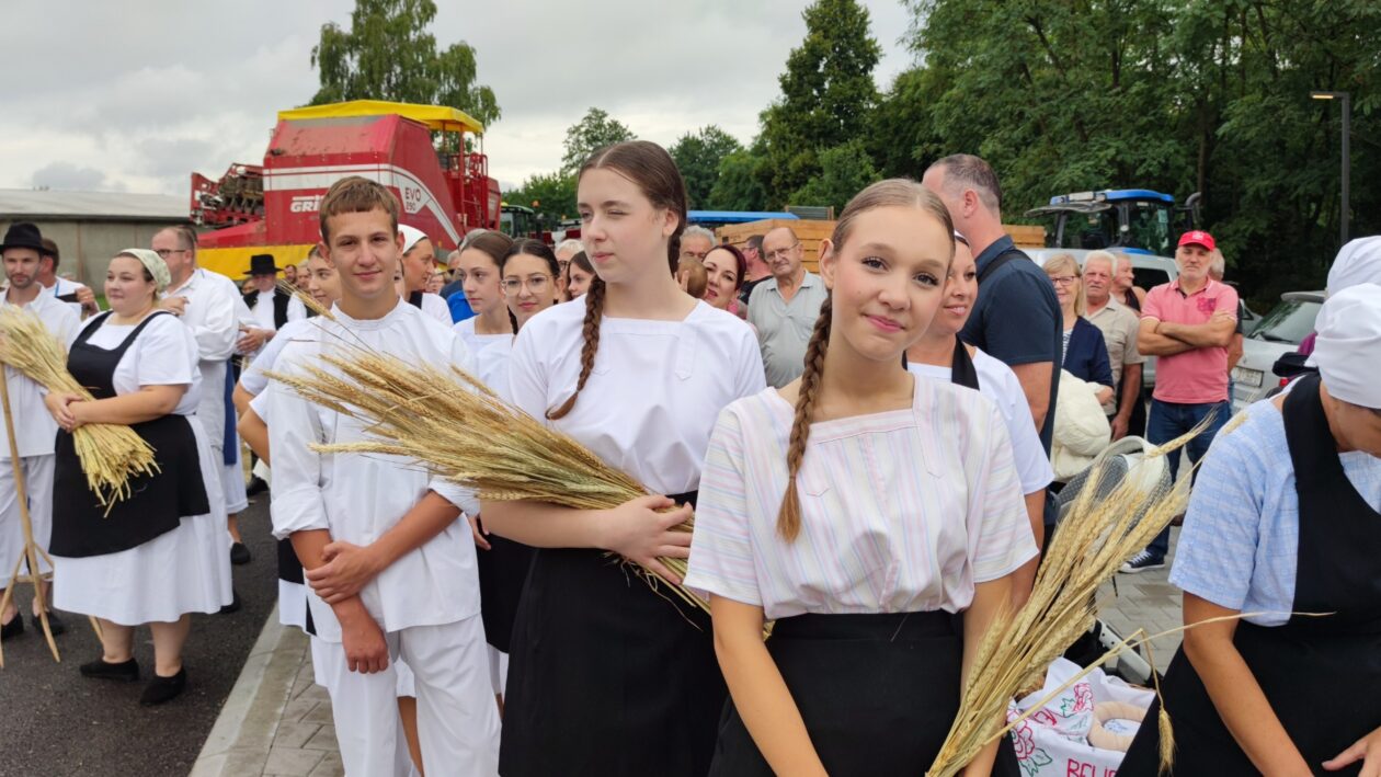 Festival krumpira, povorka starih strojeva (19)