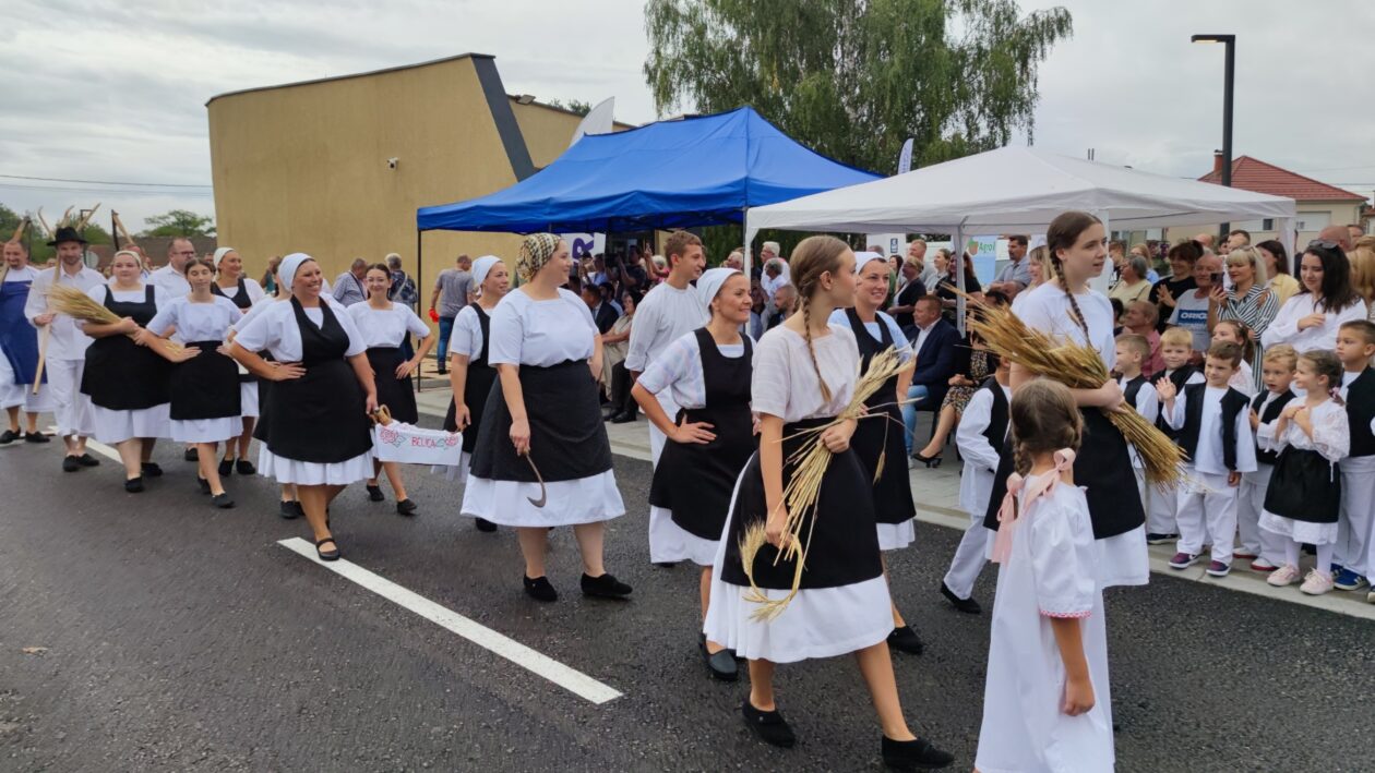 Festival krumpira, povorka starih strojeva (9)