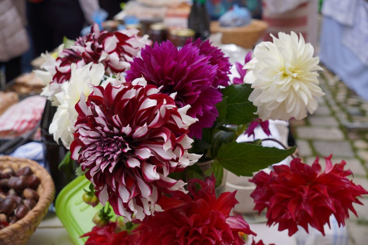 Festival međimurskih slastica (129)