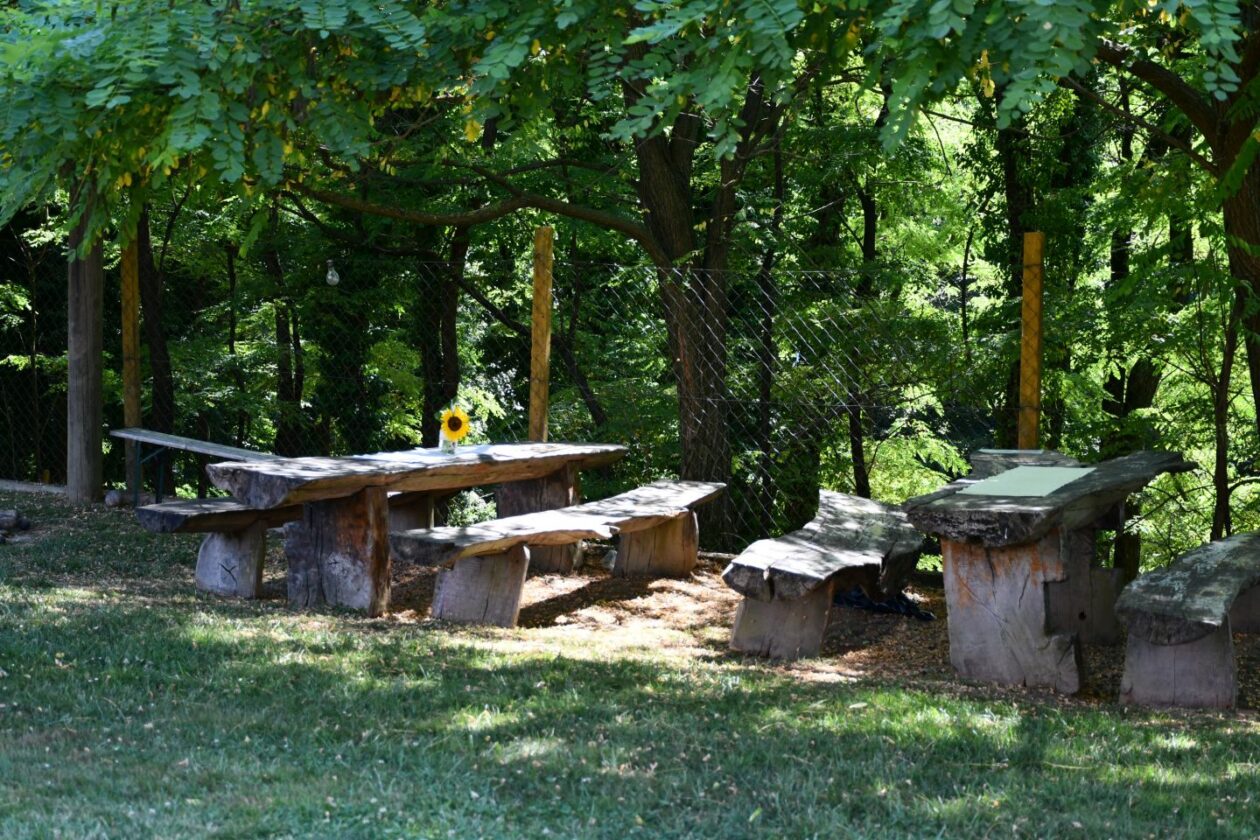 Festival napuhanaca Pleškovec 2025 (13)