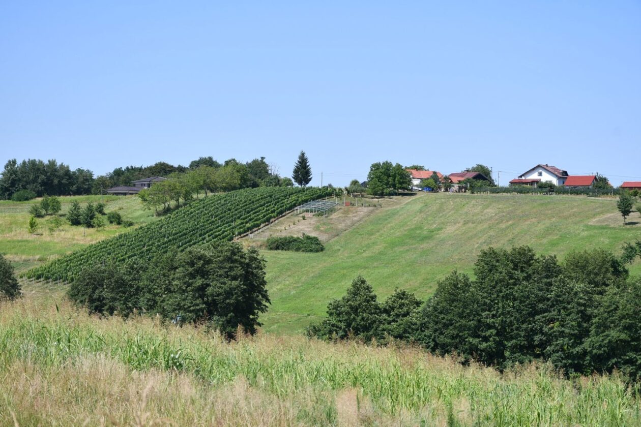 Festival napuhanaca Pleškovec 2025 (21)