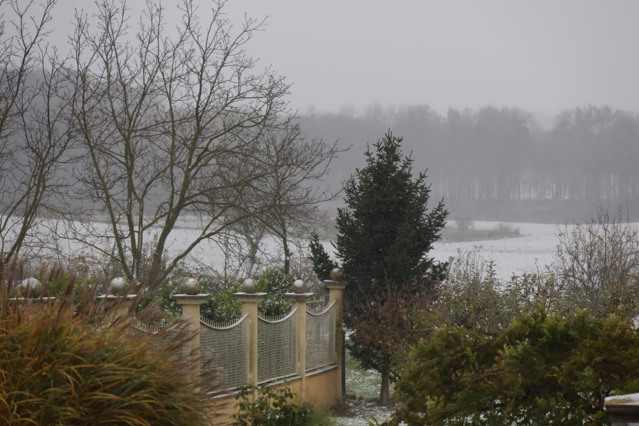 Festival nordijskog hodanja Gornji Mihaljevec 2025 (8)