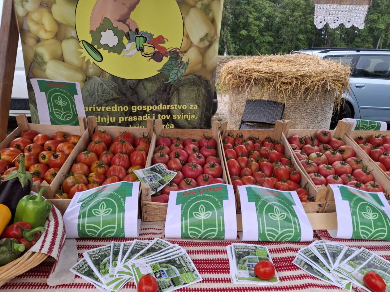 Festival rajčica 2025 (1)