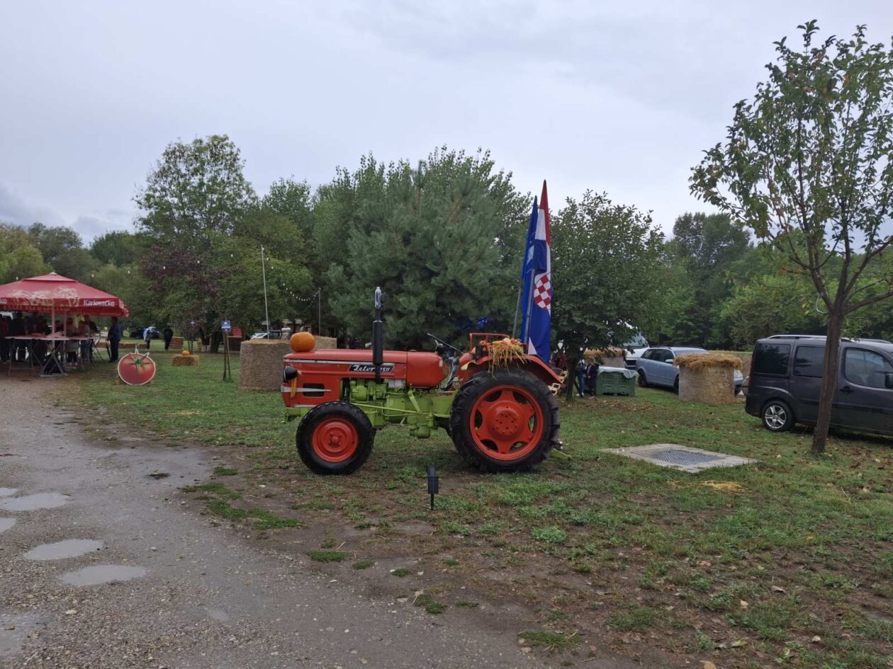 Festival rajčica 2025 (10)