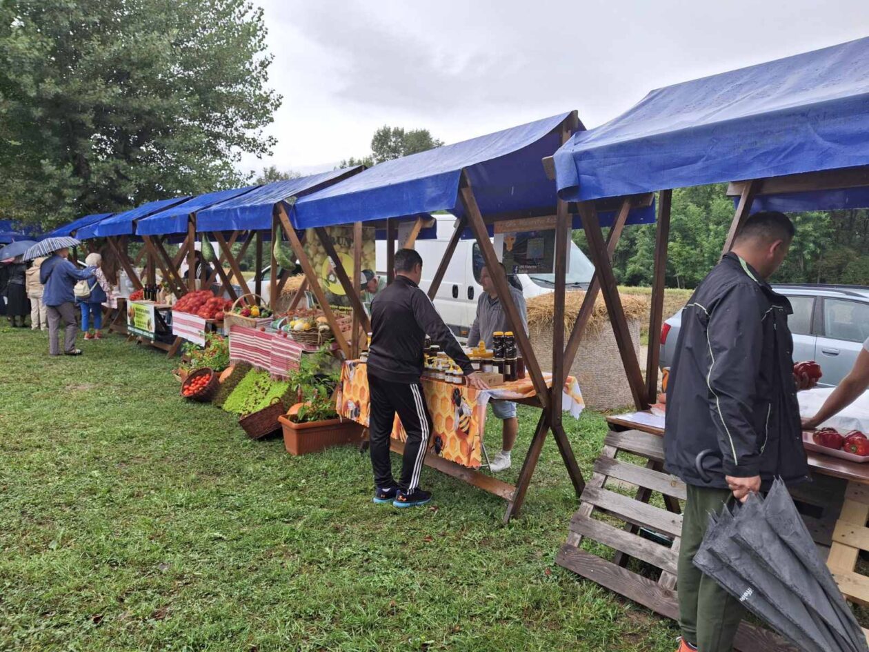 Festival rajčica 2025 (12)