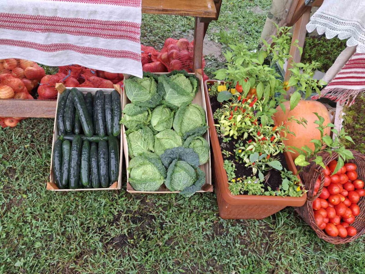 Festival rajčica 2025 (2)