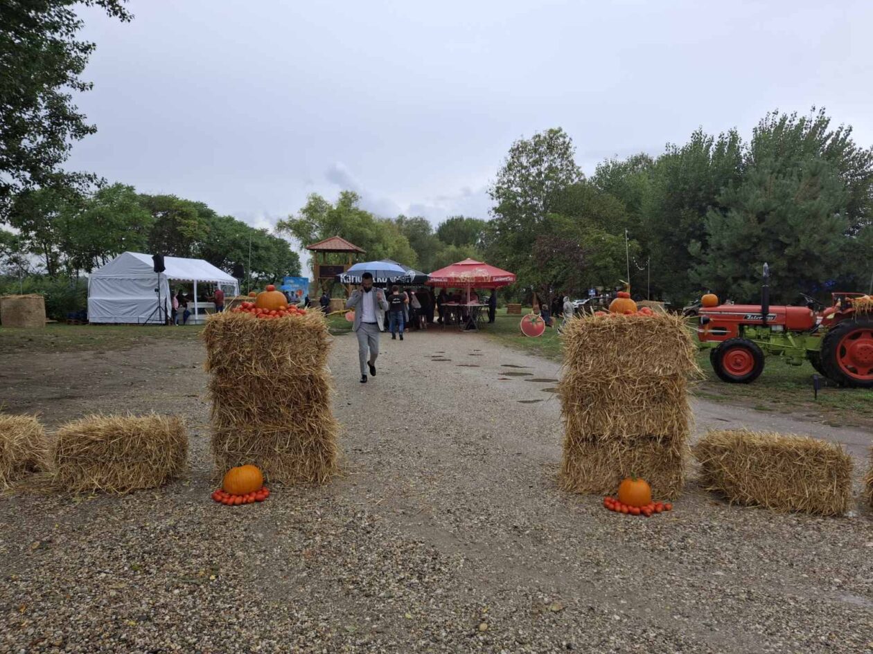 Festival rajčica 2025 (9)