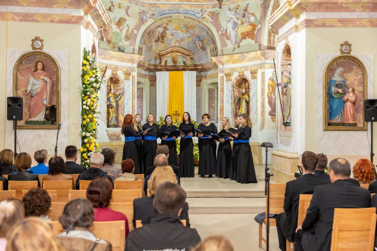 Festival sv. Jeronima Štrigova 3
