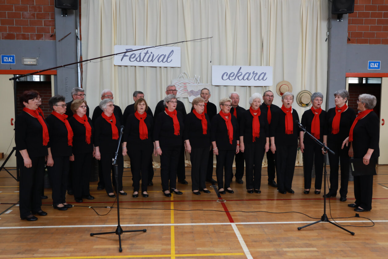 FestivalCekara2024 (65 of 81)