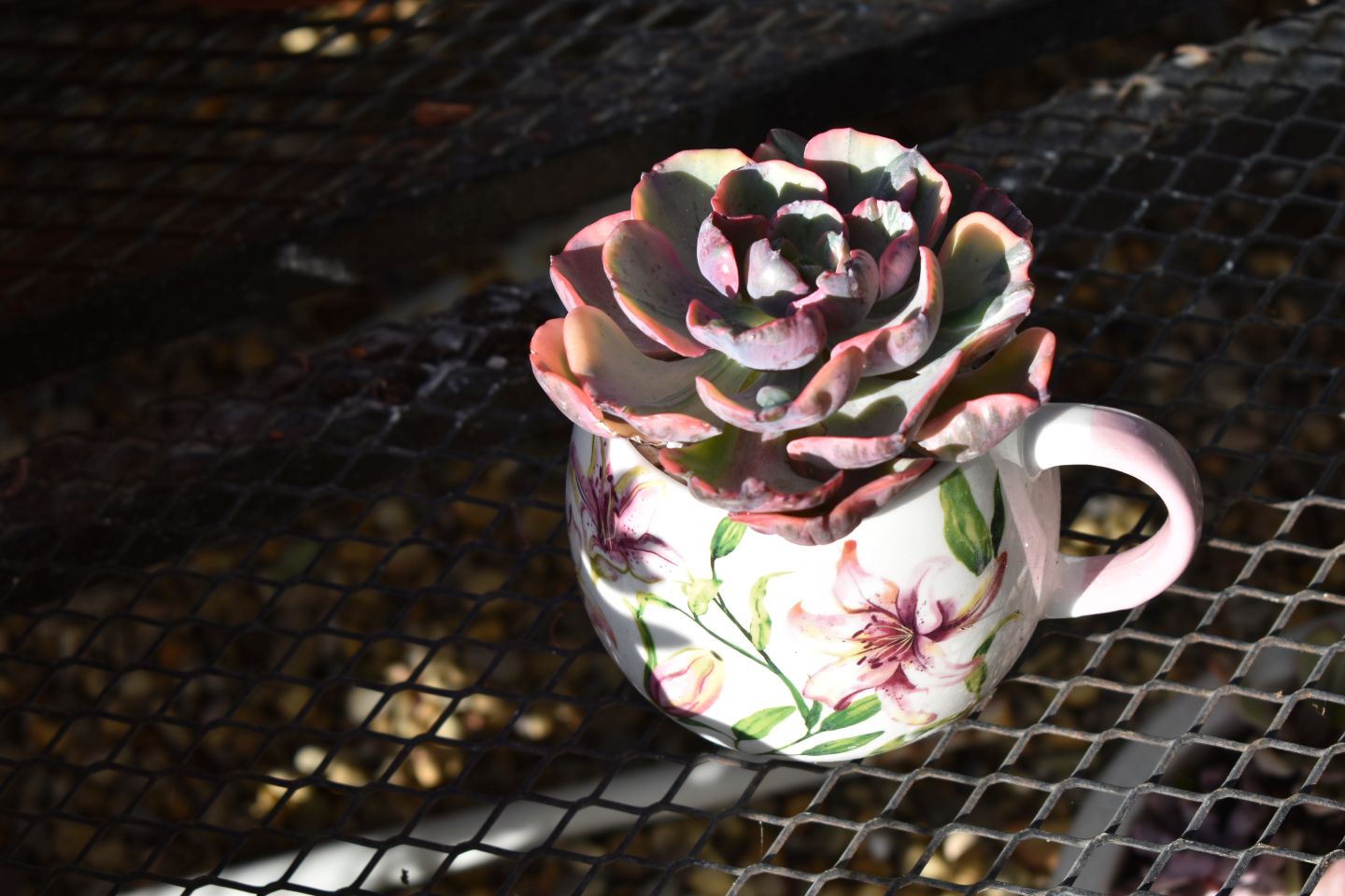 Fikreta Leček iz Peklenice (2)