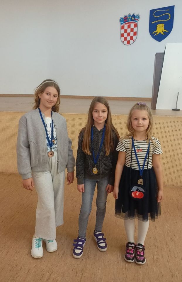 Finale Sportskih igara mladih u šahu održano u Strahonincu (4)