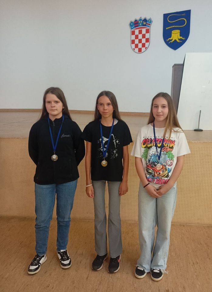 Finale Sportskih igara mladih u šahu održano u Strahonincu (5)