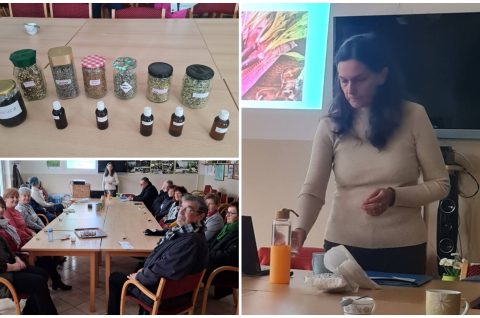 Draškovec – ljekovito bilje Natalija Hunjadi