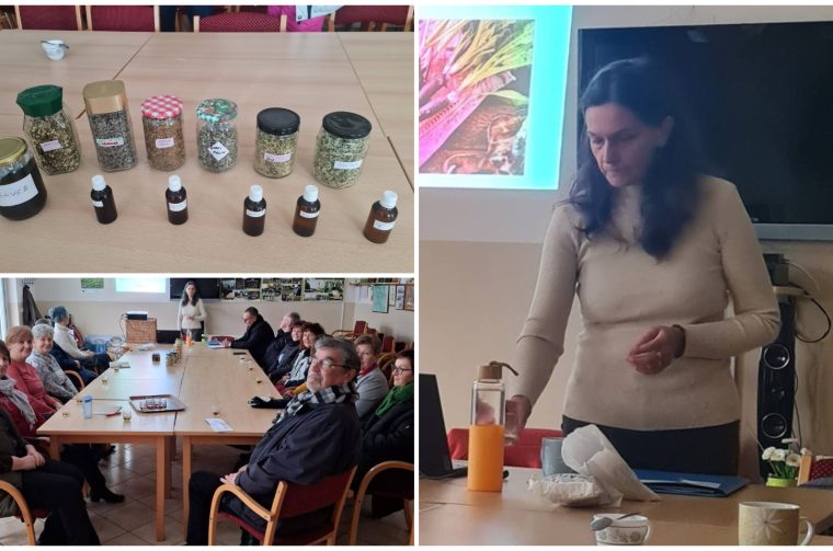 Draškovec – ljekovito bilje Natalija Hunjadi