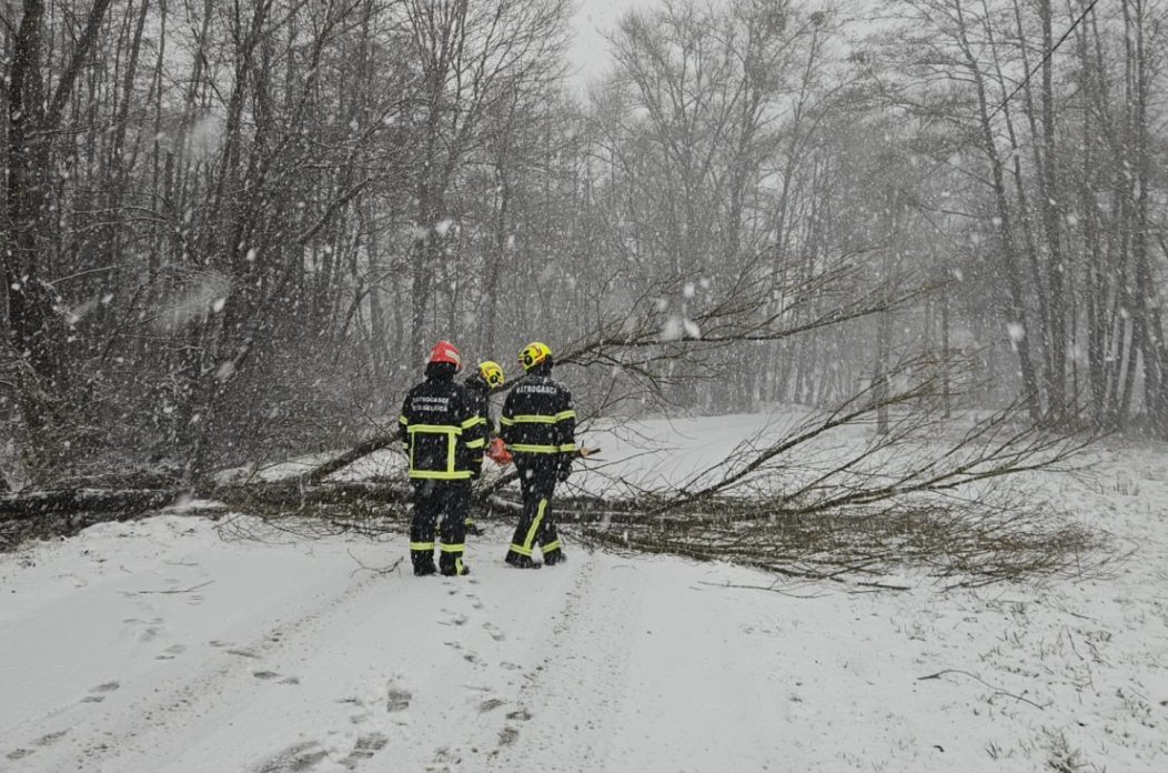 DVD Selnica stablo na cesti drvo cesta snijeg