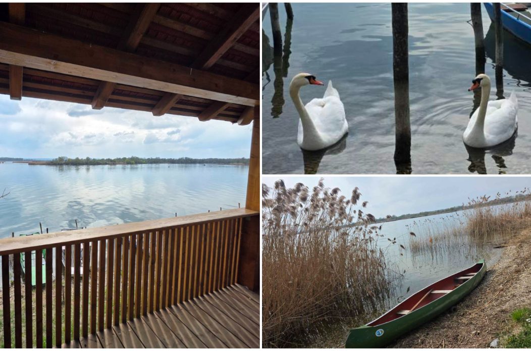 Marina Prelog priroda (10) Marina Prelog priroda (10)