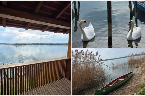 Marina Prelog priroda (10) Marina Prelog priroda (10)