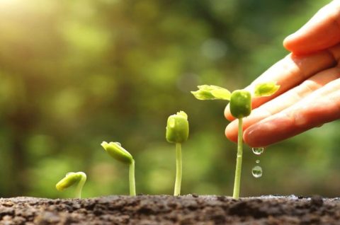 Javni poziv – grad Čakovec Javni poziv – grad Čakovec