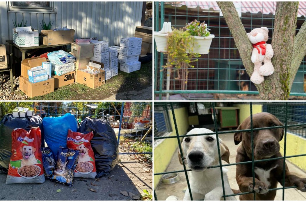 Azil Prijatelji Čakovec