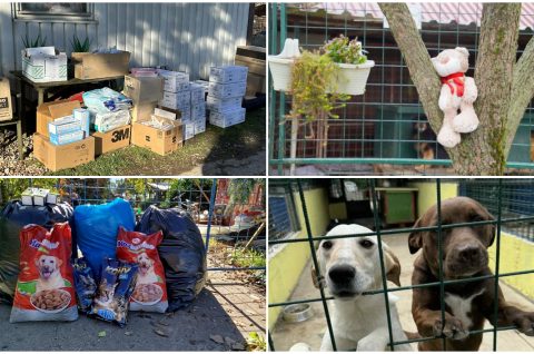 Azil Prijatelji Čakovec