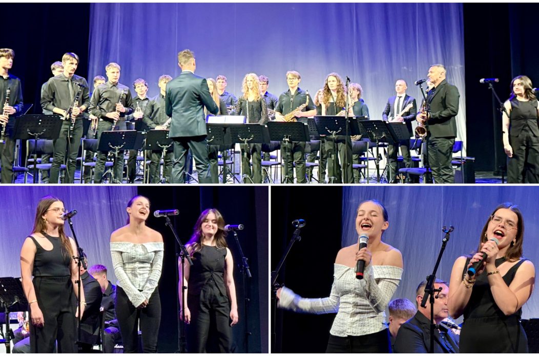 Puhački orkestar Gimnazije Josipa Slavenskog Čakovec – banda svira CZK (7)