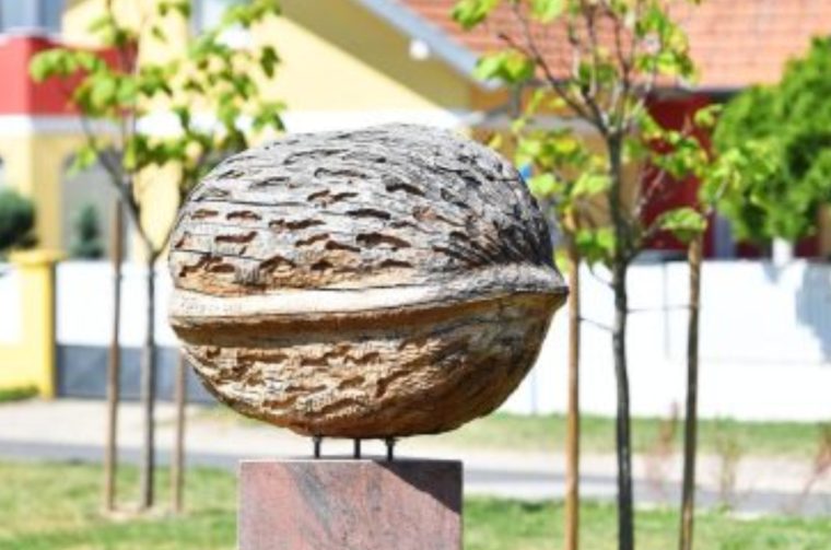 Općina Orehovica
