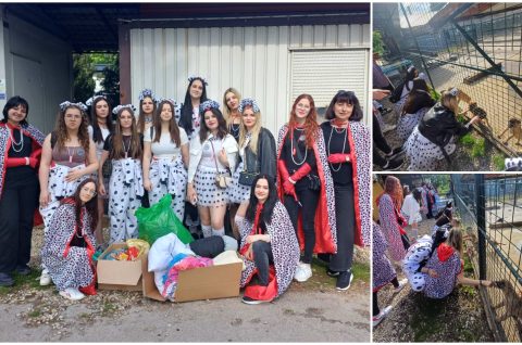 Gospodarska škola Čakovec azil Čakovec (2) Gospodarska škola Čakovec azil Čakovec (2)