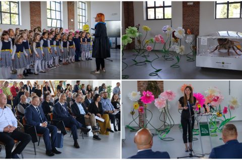 BEE(A)WARE dan pčela (9)