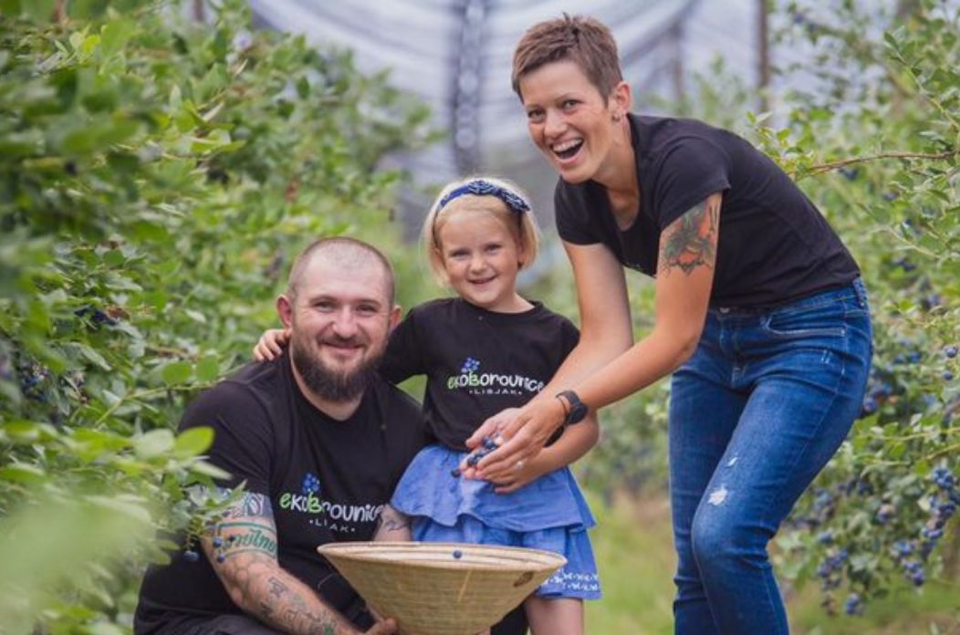 Eko borovnice Lisjak Eko borovnice Lisjak / Lucija Novak