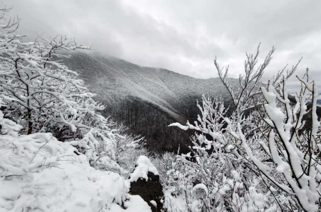 Zoran Stanko Ivančica