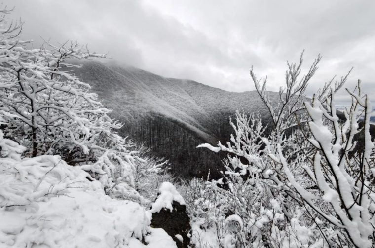 Zoran Stanko Ivančica