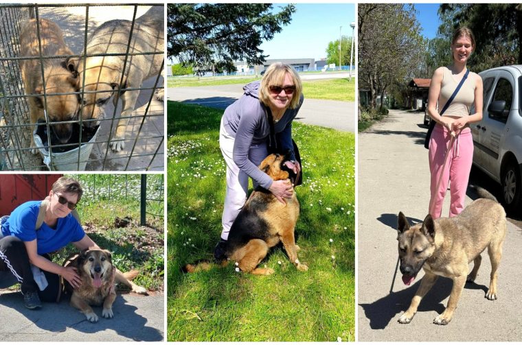 Azil Prijatelji Čakovec