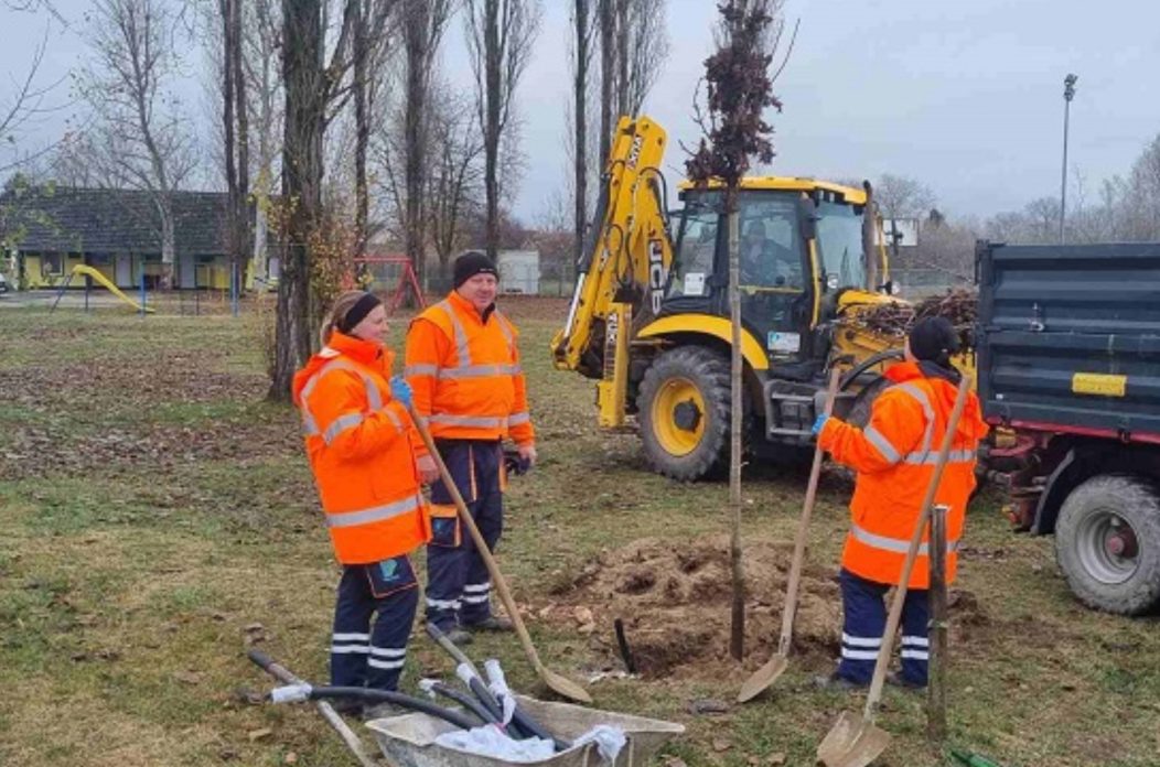 Grad Prelog zeleno (4)