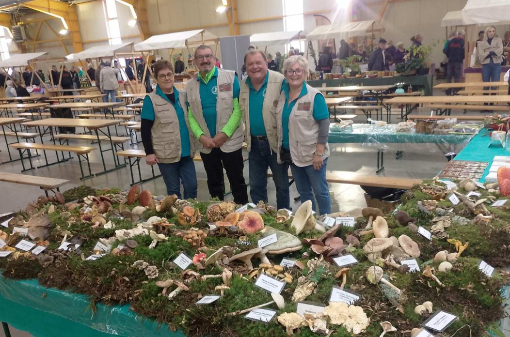 Gljivarsko društvo Smrčak (8) Gljivarsko društvo Smrčak (8)