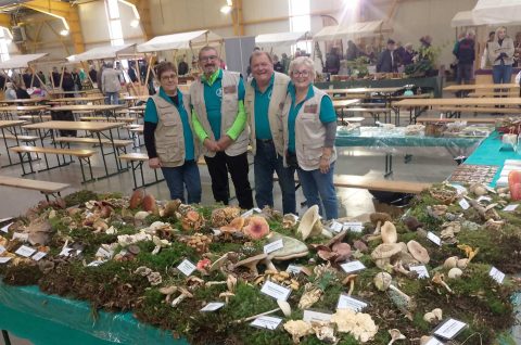 Gljivarsko društvo Smrčak (8)