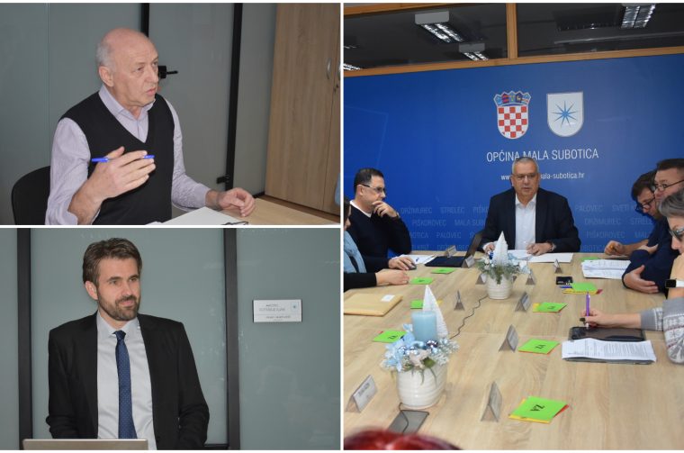 Općinsko vijeće mala subotica