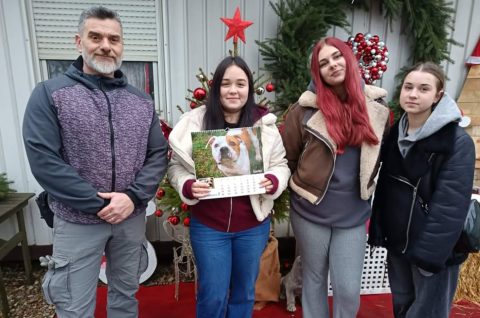 Azil čakovec – Ekonomska i trgovačka škola Čakovec