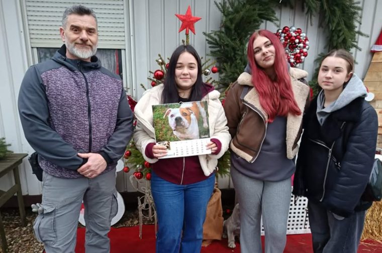 Azil čakovec – Ekonomska i trgovačka škola Čakovec