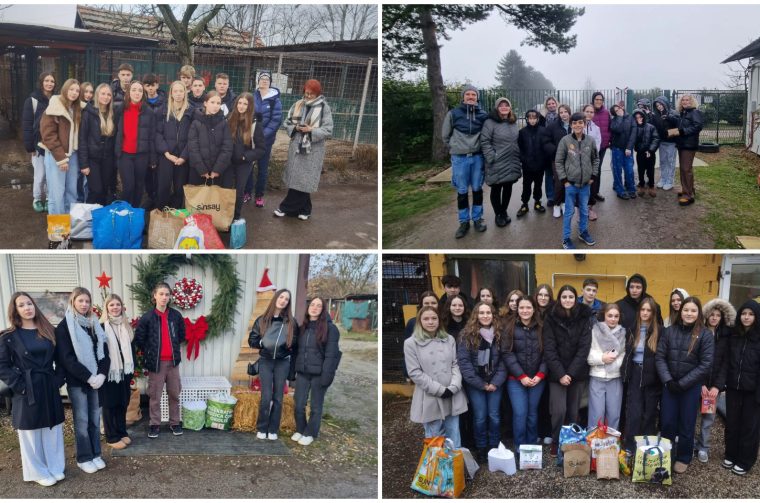Azil Prijatelji Čakovec donacije škole (2) Azil Prijatelji Čakovec donacije škole (2)